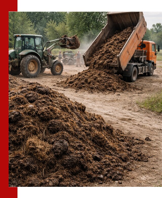 Доставка навоза самосвалами в Щёлкове для сельхозпотребностей